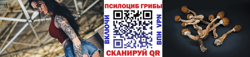 Галлюциногенные грибы Magic Shrooms  Ульяновск 