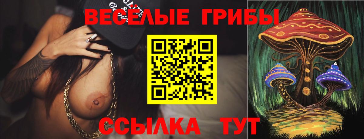 Галлюциногенные грибы прущие грибы Ульяновск