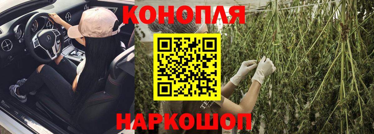 Бошки марихуана планчик Ульяновск